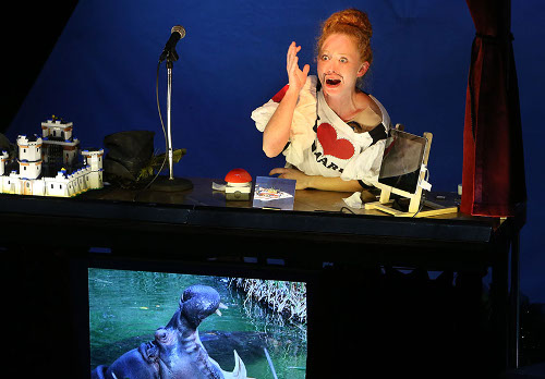 Lost In Denmark door Annemarie de Bruijn